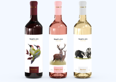 Noah’s Ark Vinyard